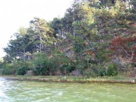 Cliff Pond IMG 4068